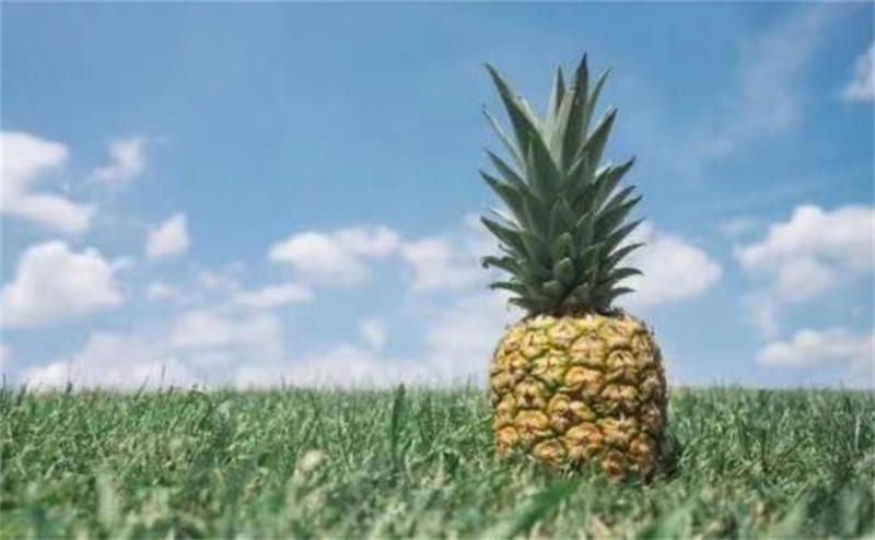 6054b5b2e2d0a.jpg 微信图片_20210319222713.jpg