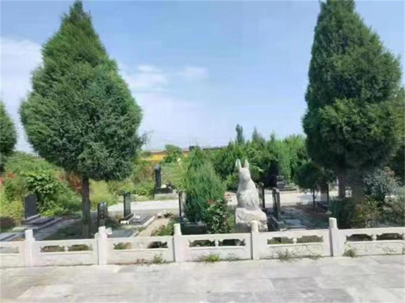 616011aec129c.jpg 04.jpg