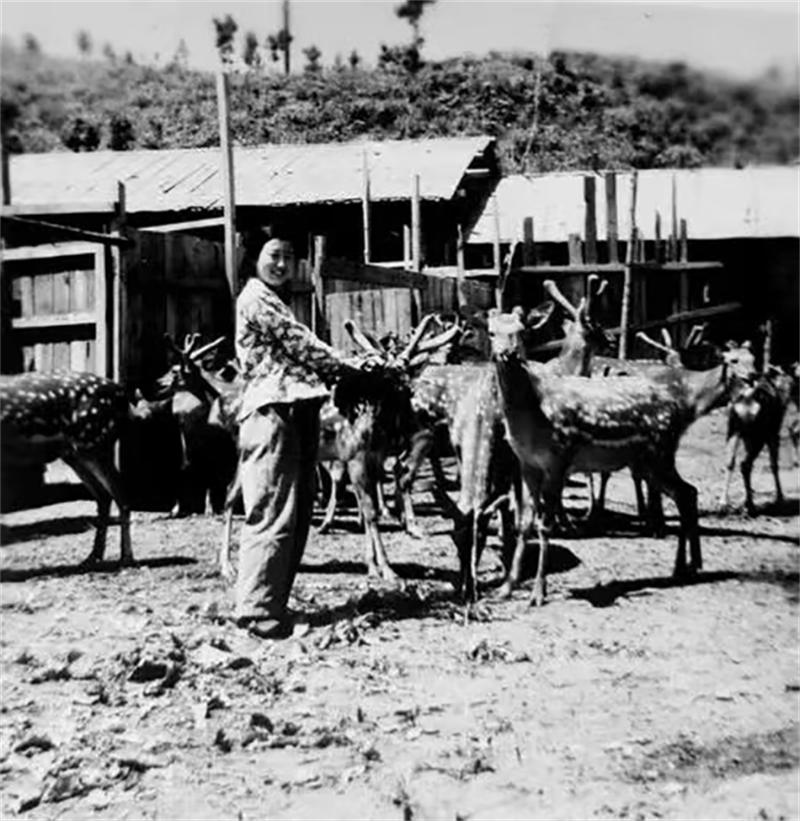 61cc76d718d41.jpg WechatIMG131.jpg