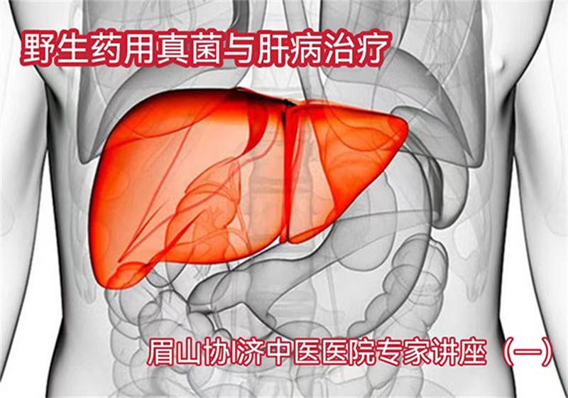 62a3436a4cda3.jpg 02.jpg