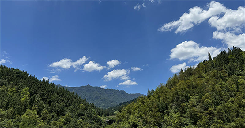 62e0ab388c61d.jpg 05.jpg