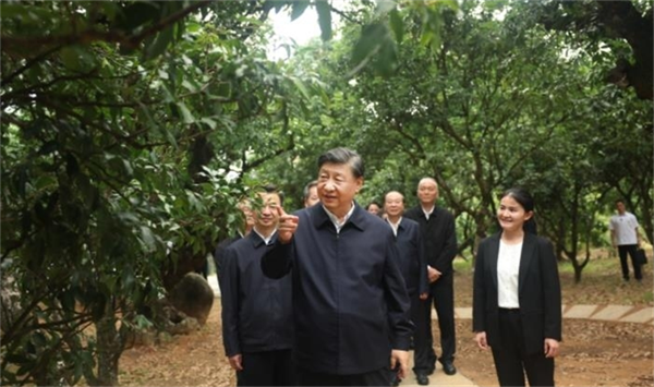 6437f3053ee2c.png 铭111111111111111.png