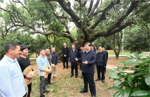 6437f32931a98.png 铭222222222222222222.png