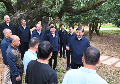 6437f349657b3.png 铭3333333333333.png