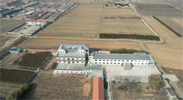 643d5af9acf9c.png 涛3333333333333.png