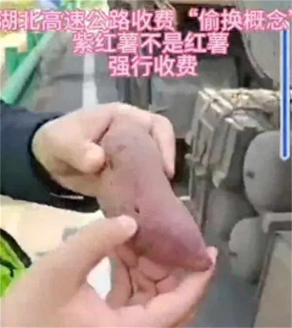 65309851cf07a.png 啊啊11111111111111111.png