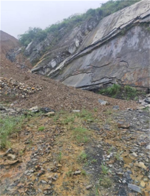 65521b4e8fed1.png 在111111111111111.png