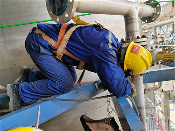 656eb237155bf.png 人222222222222222.png