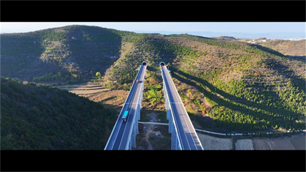 657a701d14279.png 去2222222222.png