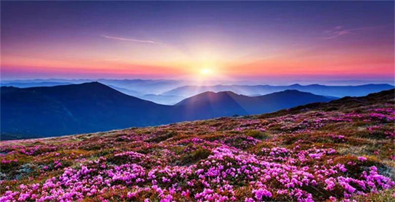 65926ee4b494d.jpg 2.jpg