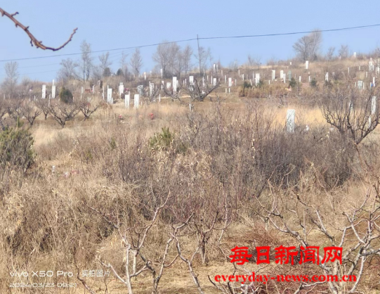 啊1111111111111111.png 啊1111111111111111.png