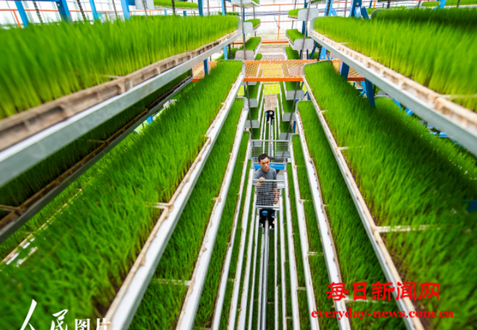 啊111111111111.png 啊111111111111.png