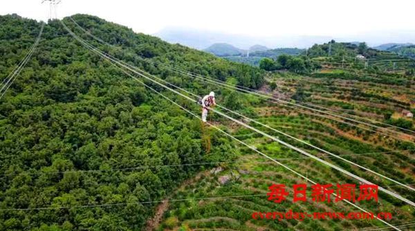 国网员工高空带电作业， 保障三峡电力外送