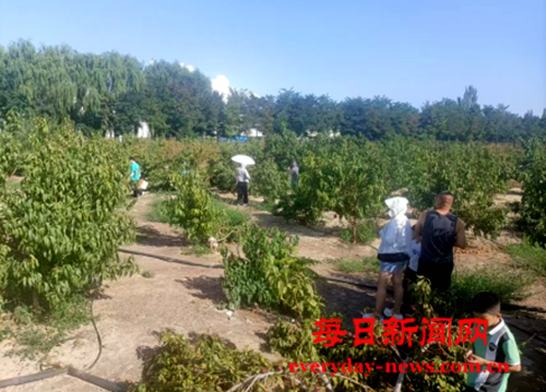 去33333333333333.png 去33333333333333.png