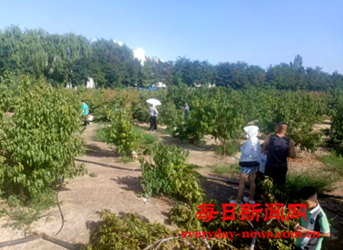 去444444444444444.png 去444444444444444.png