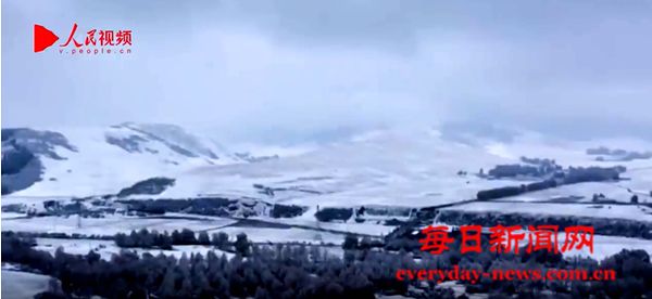 《财米油盐》｜“速冻”模式开启 燃“煤”