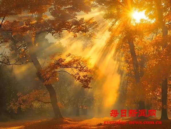 和光同尘  - 诗文/邓淦群