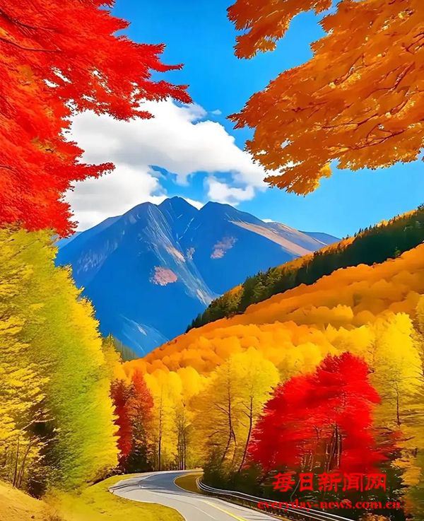 WechatIMG706.jpg WechatIMG706.jpg