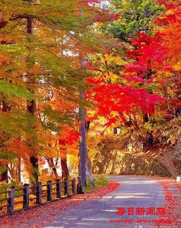 2024年食品安全与健康流言榜发布 这些