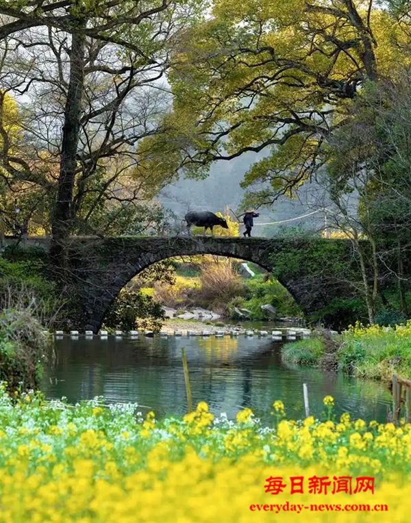 河南商丘虞城县：以人才活水润泽乡村