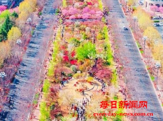 一个人的赏花是春游，一群人的赏花是经济