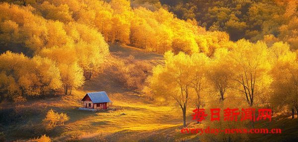 2型糖尿病能被“治愈”吗