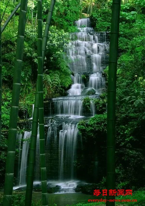 五一假期“可带宠物”民宿预订量同比增超八