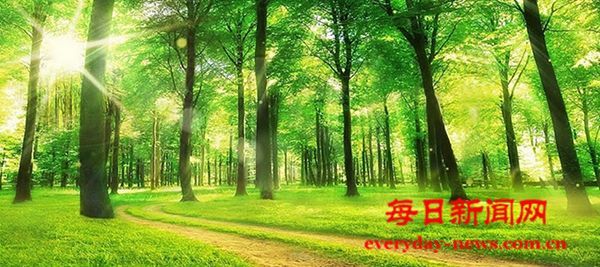 今年，工资、收入、职业发展会有这些政策措