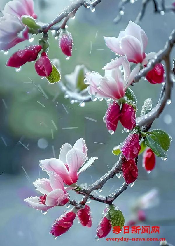 构建当代少数民族文学史的基石