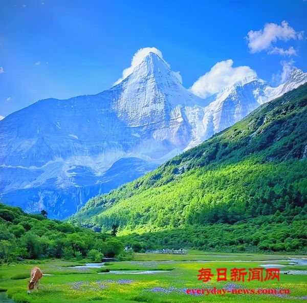 全国首个“心佑小屋”点亮 31名西藏先心