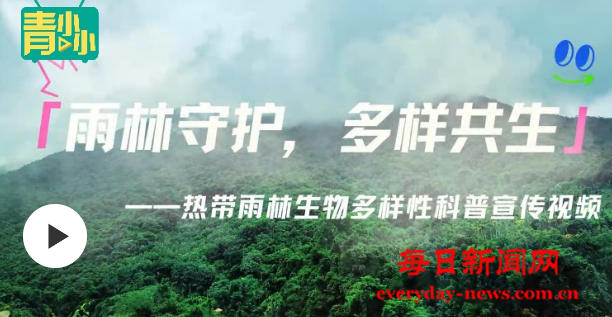 去3333333333333333.png 去3333333333333333.png