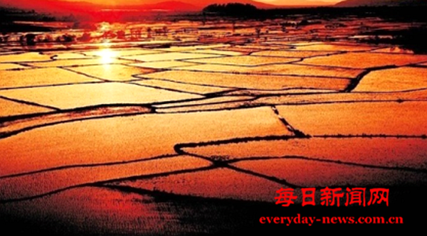 案111111111111111111.png 案111111111111111111.png