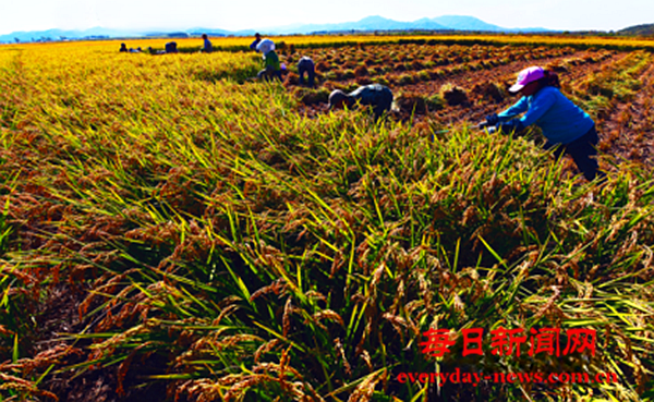 案22222222222.png 案22222222222.png