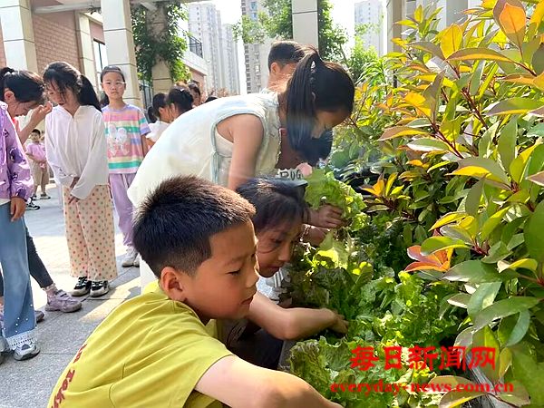 【全环境立德树人】小农夫大丰收 ——烟台