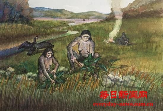 中国发现三十万年前“最早木器”究竟意味着