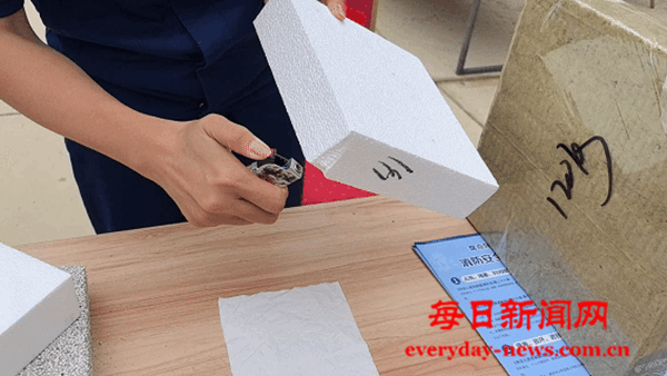 图片10.png 图片10.png