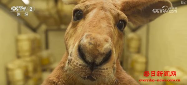 科技赋能文化“出圈”！街头巨兽→载人飞碟