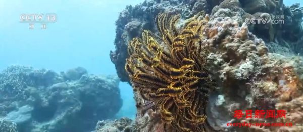 向海图强 海洋经济释放“蓝色引擎”澎湃动