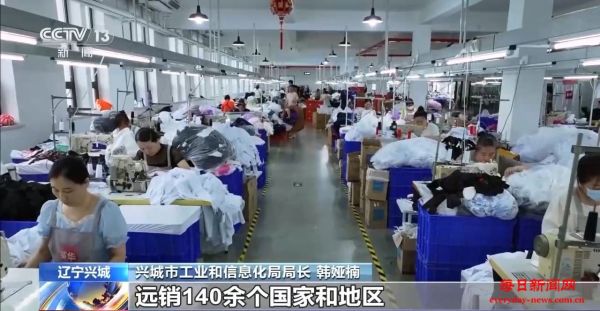 滨海小城出圈有“密码” 全球四分之一的泳