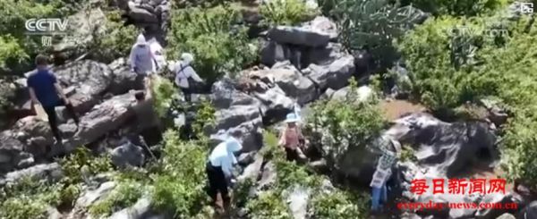 绿了山头 富了口袋：石漠化山区的绿色逆袭