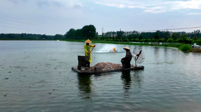 去4444444444.png 去4444444444.png