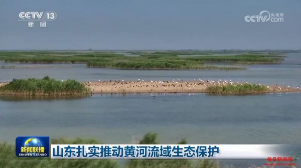 山东扎实推动黄河流域生态保护