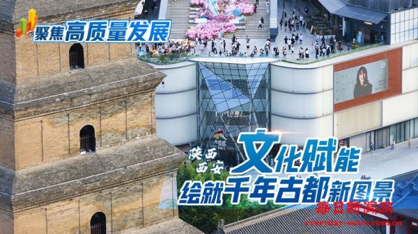 聚焦高质量发展丨陕西西安：文化赋能绘就千