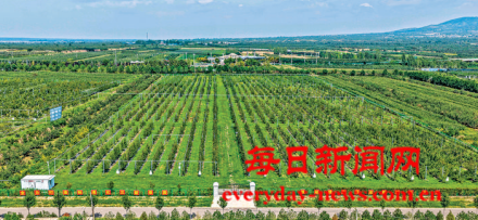 案444444444.png