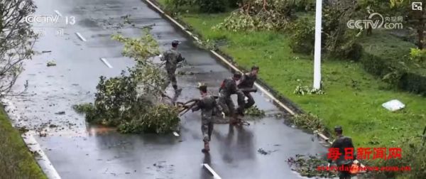 路通了、电来了、船开了！台风过后 多地交