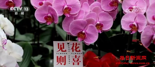 “菜篮子”量足价稳、鲜花市场备货忙 各地