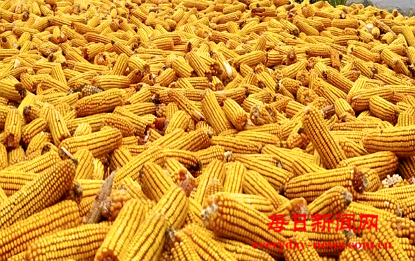 去111111111111.png 去111111111111.png