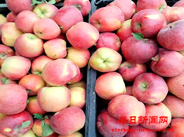 去22222222222222.png 去22222222222222.png