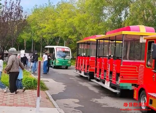 运营方回应“唐山动物园女游客从小火车掉落