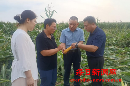 案222222.png 案222222.png